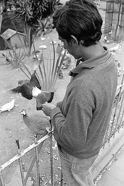 Pra&ccedil;a da Rep&uacute;blica - 1968
